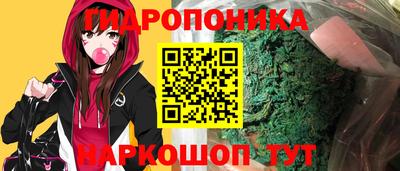 прущие грибы Каменск-Шахтинский