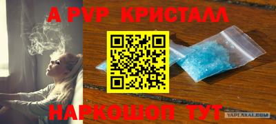 прущие грибы Каменск-Шахтинский