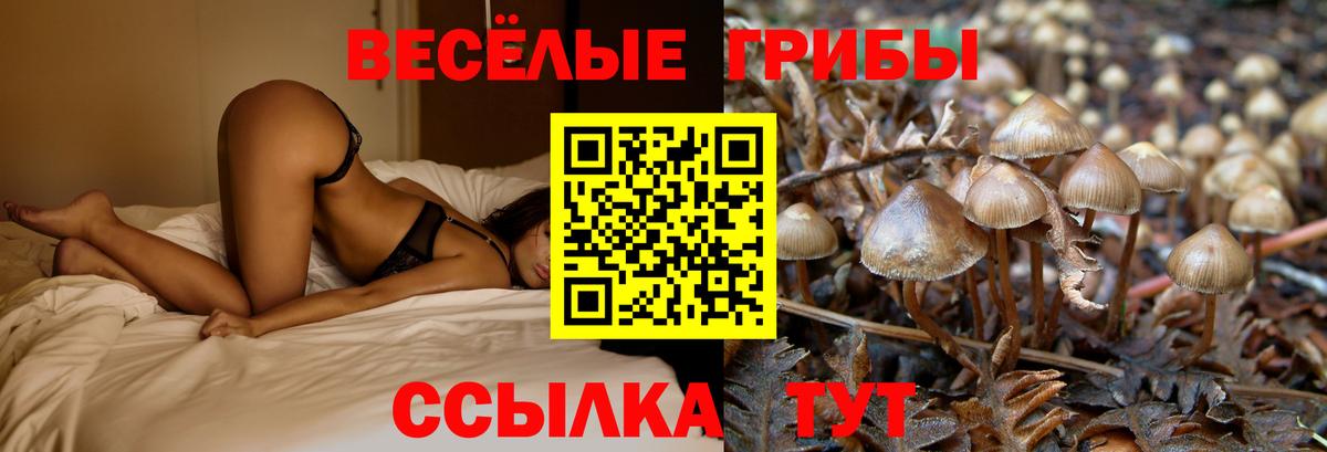 Белово  Галлюциногенные грибы MAGIC MUSHROOMS  Вход с VPN  Галлюциногенные грибы прущие грибы 