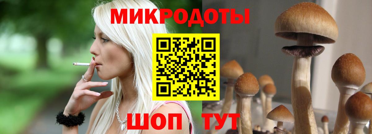 Галлюциногенные грибы GOLDEN TEACHER Белово